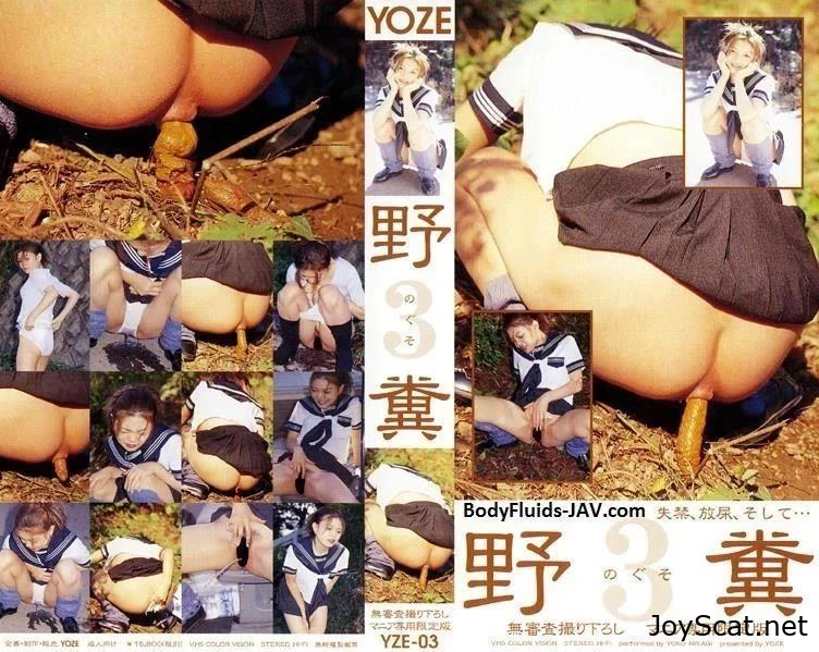 YZE-03 少女たちは公共の場所、屋根の上、開いたロッジアで排泄します。 - パンティスカトロ, ボンデージ嘔吐, ウンコ姿のマンコ